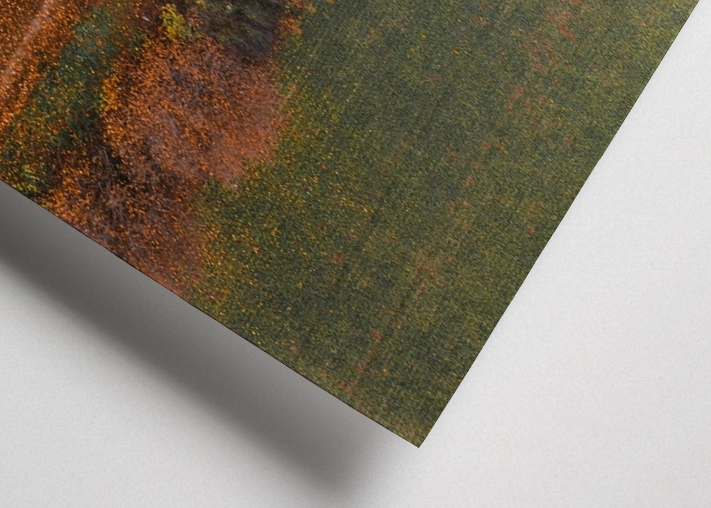 Det er efterår dernede