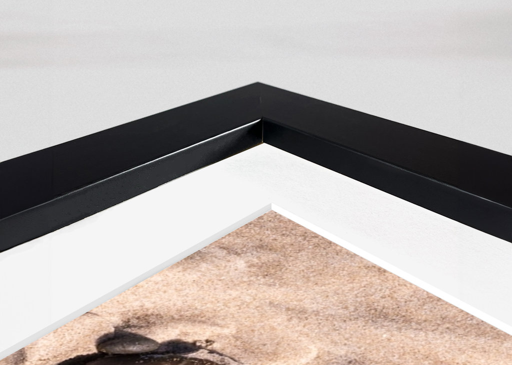 Stones on the sandy beach