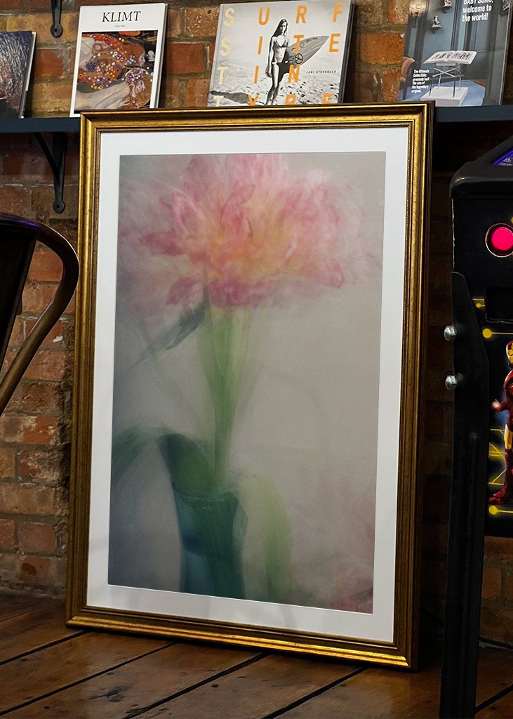 Tulipier dans un vase vert