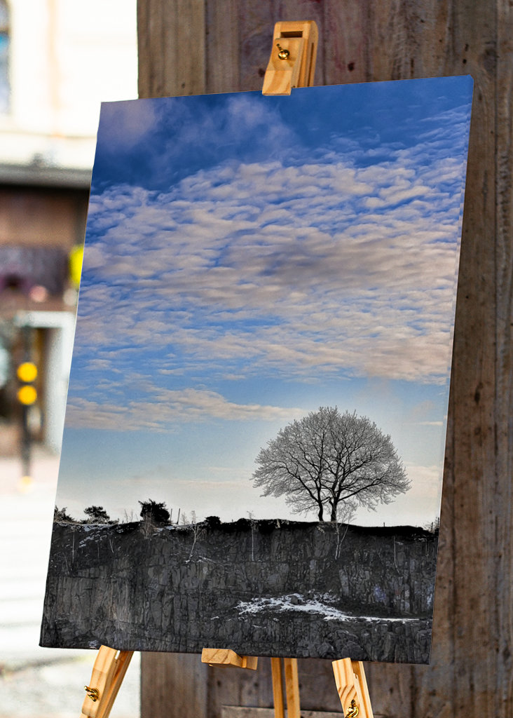 Silhouette eines Baumes