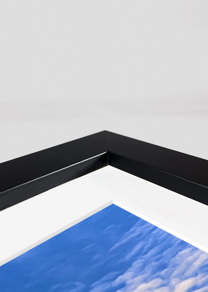 Silhouette eines Baumes