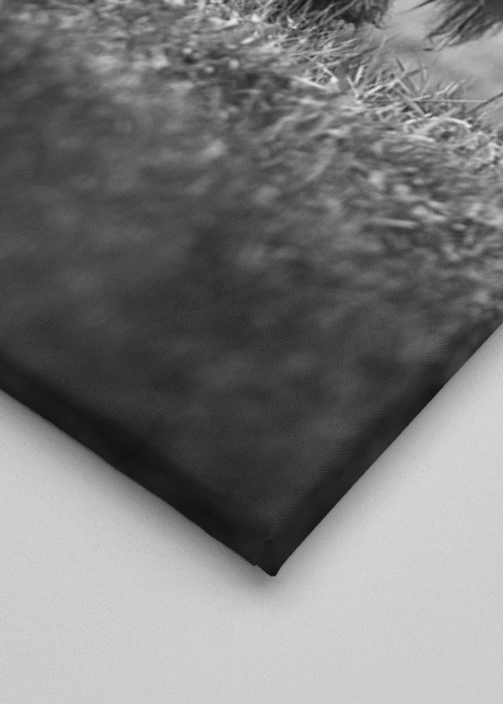 Hovězí maso z Vysočiny s telecím masem