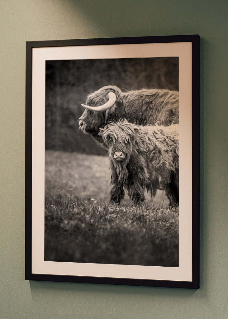 Hovězí maso z Vysočiny s telecím masem