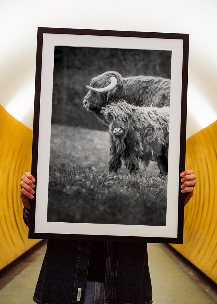 Hovězí maso z Vysočiny s telecím masem