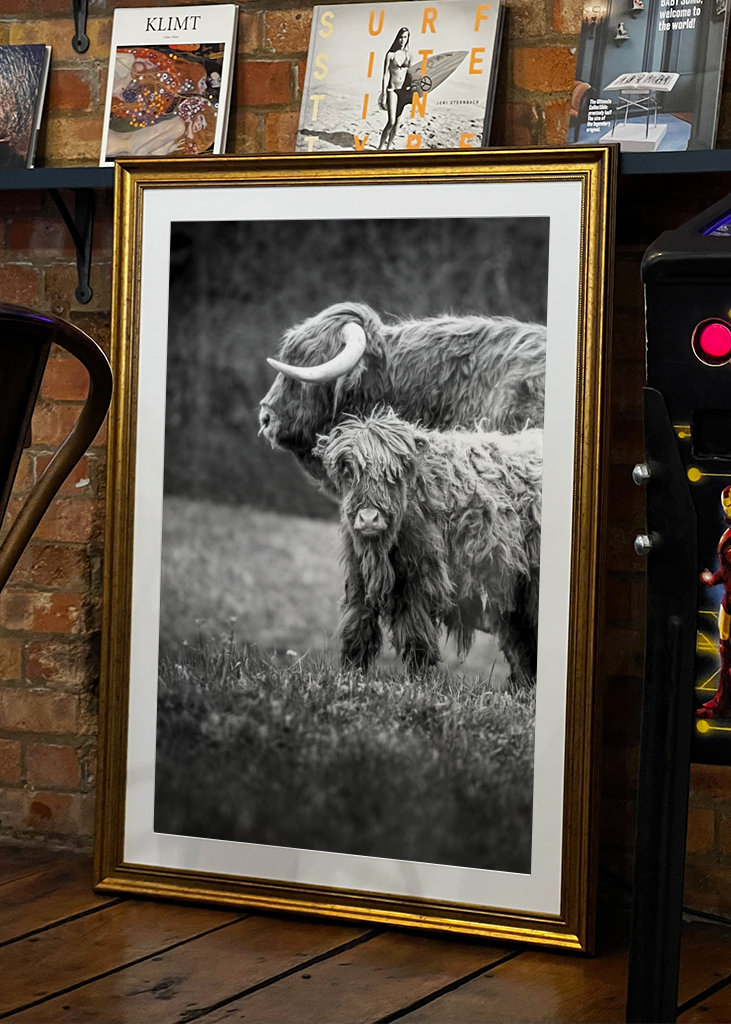 Hovězí maso z Vysočiny s telecím masem