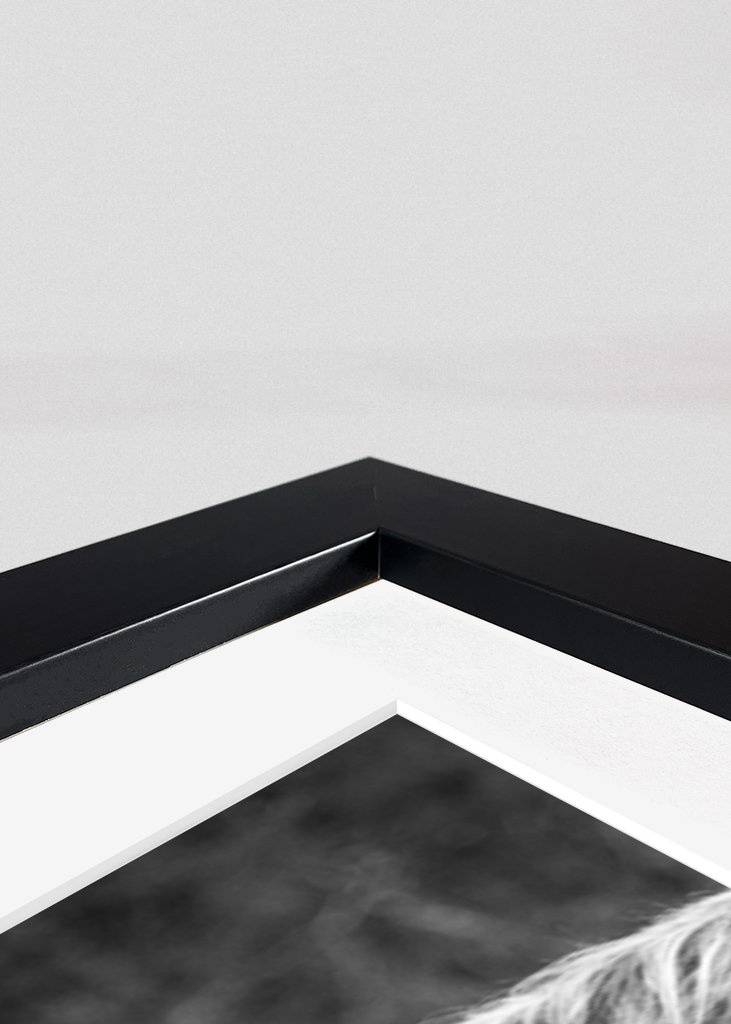 Hovězí maso z Vysočiny s telecím masem