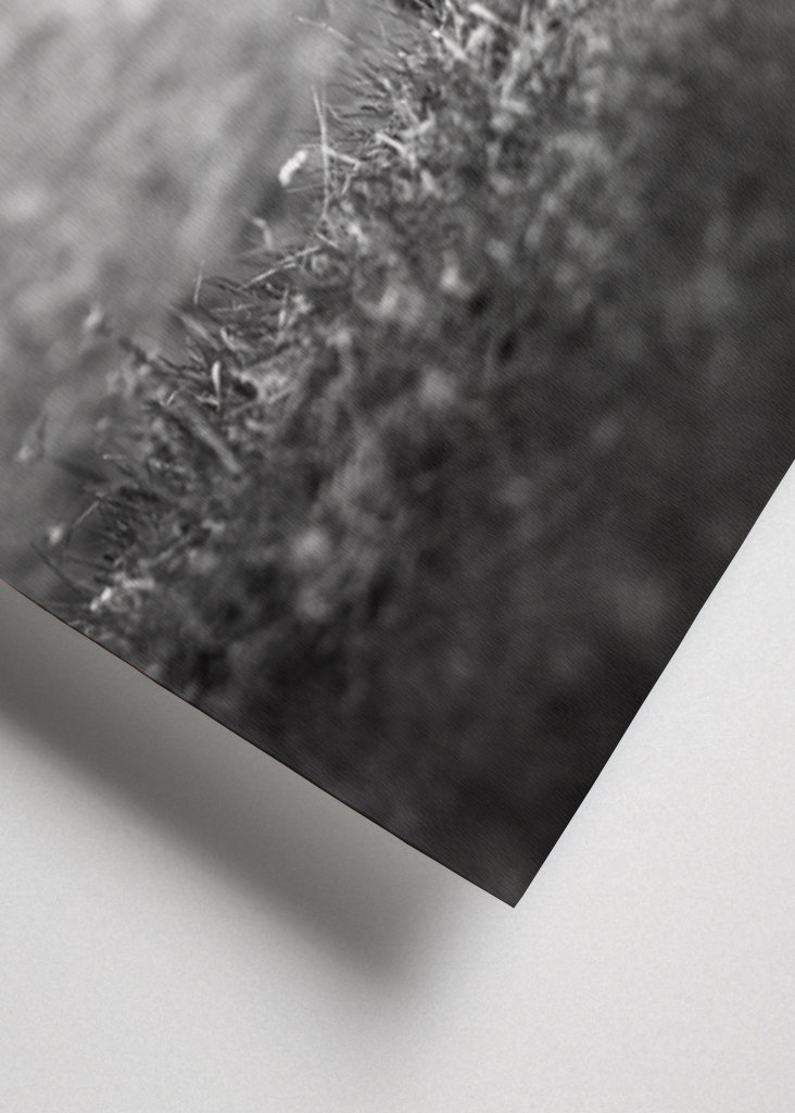 Hovězí maso z Vysočiny s telecím masem