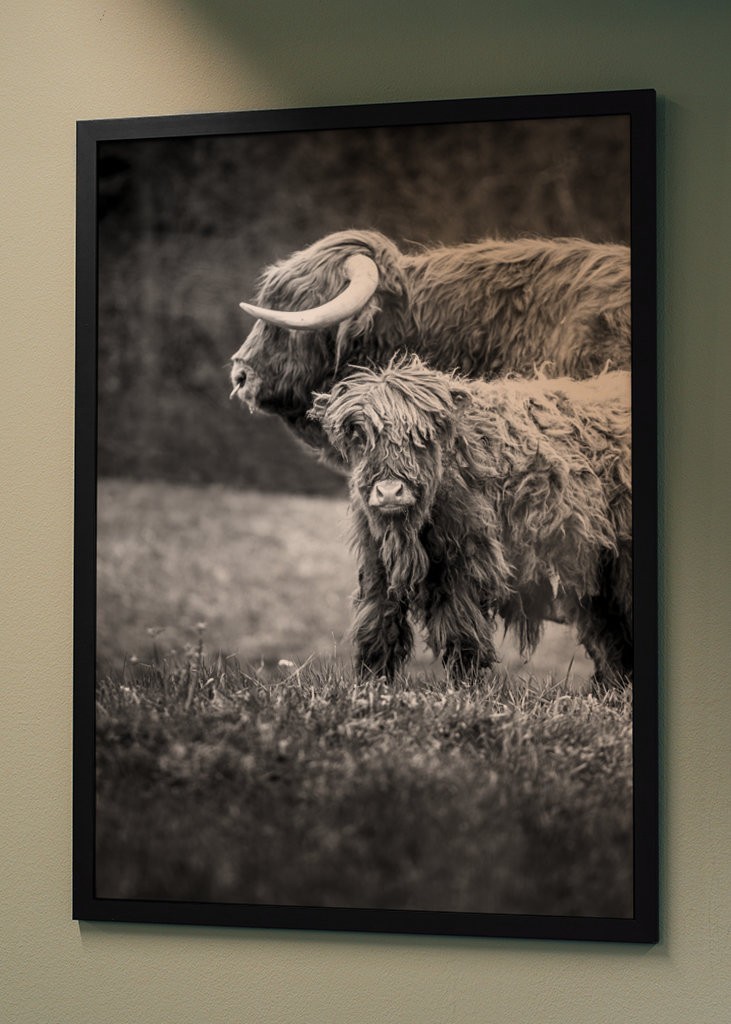 Hovězí maso z Vysočiny s telecím masem