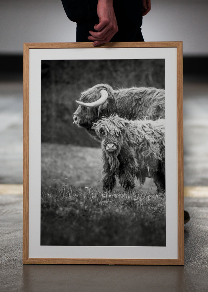 Hovězí maso z Vysočiny s telecím masem