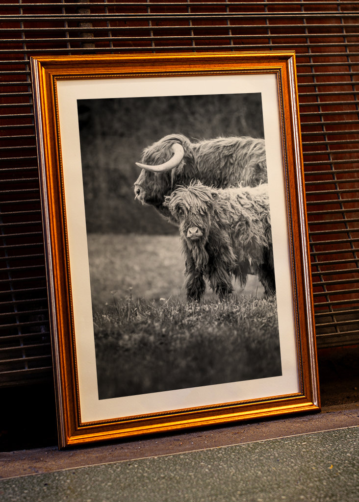 Hovězí maso z Vysočiny s telecím masem