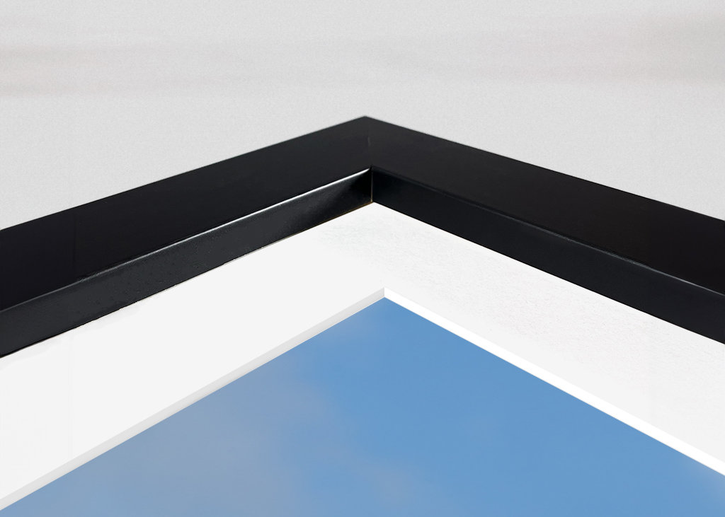 Coquelicots contre ciel bleu