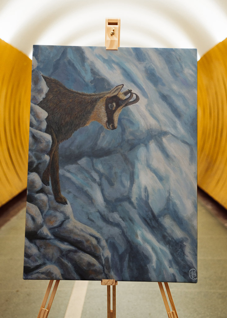 Vaskeskind i klippevæg