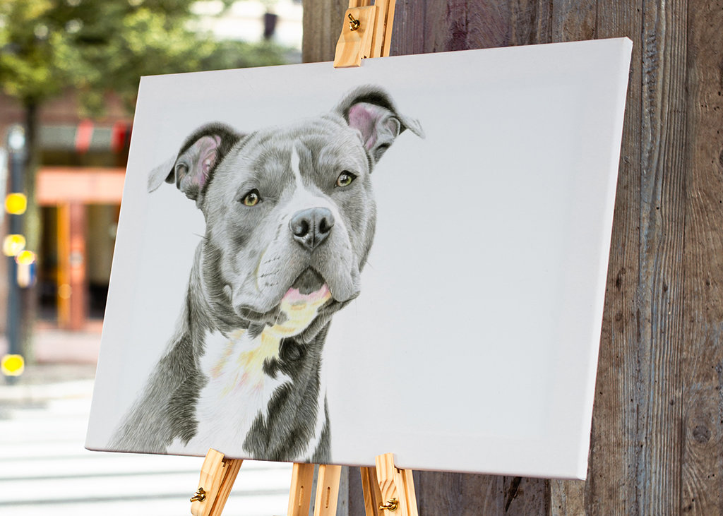 Amerikai staffordshire terrier