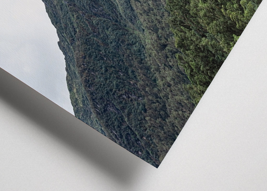 Tåge i Milford Sound