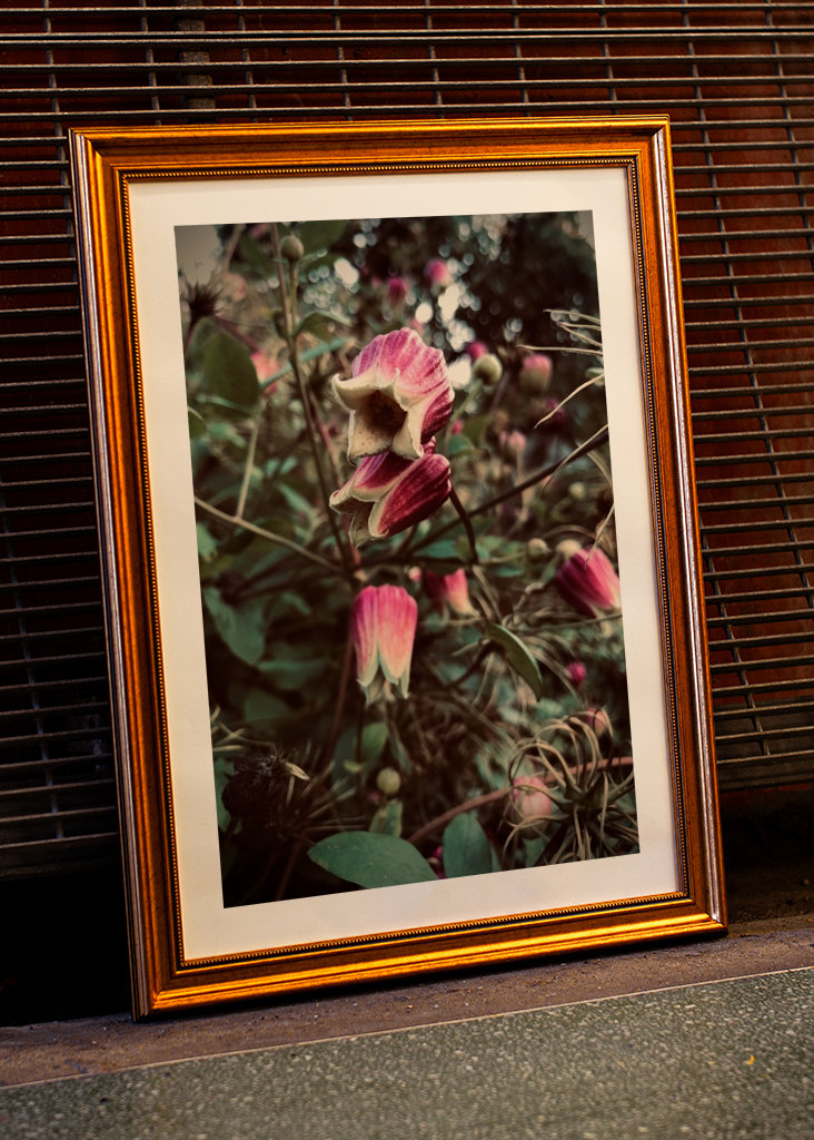 Vaaleanpunainen kukka