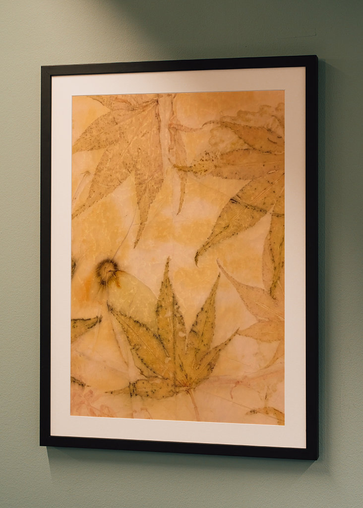 Maple leaves 1