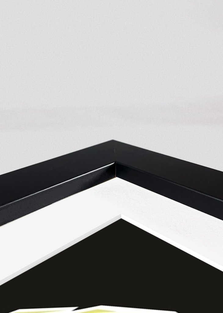 Roger Federer Pop Art