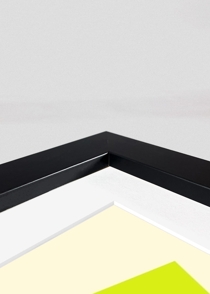 Biggie Smalls pop art