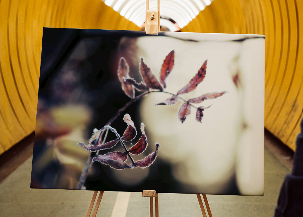 Odmrożone jesienne liście