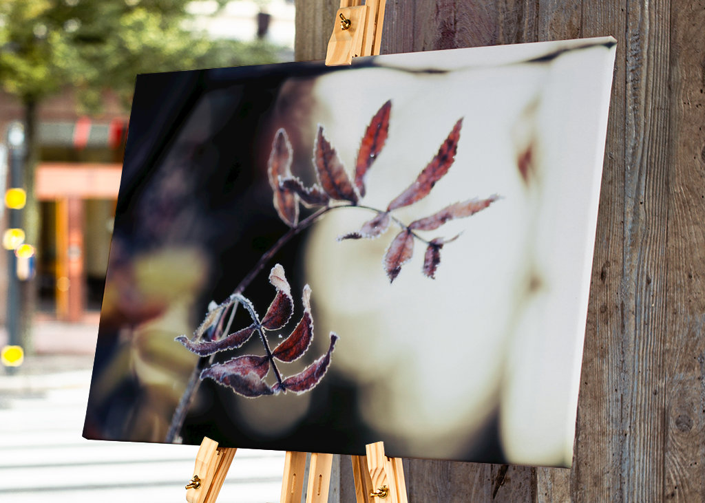 Odmrożone jesienne liście