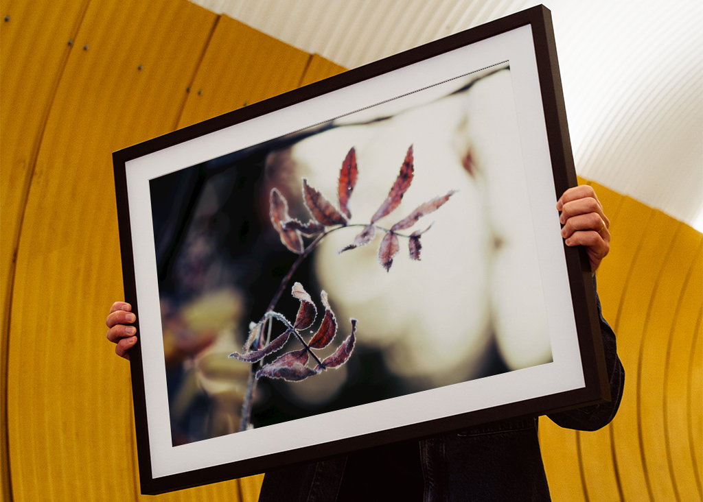 Odmrożone jesienne liście