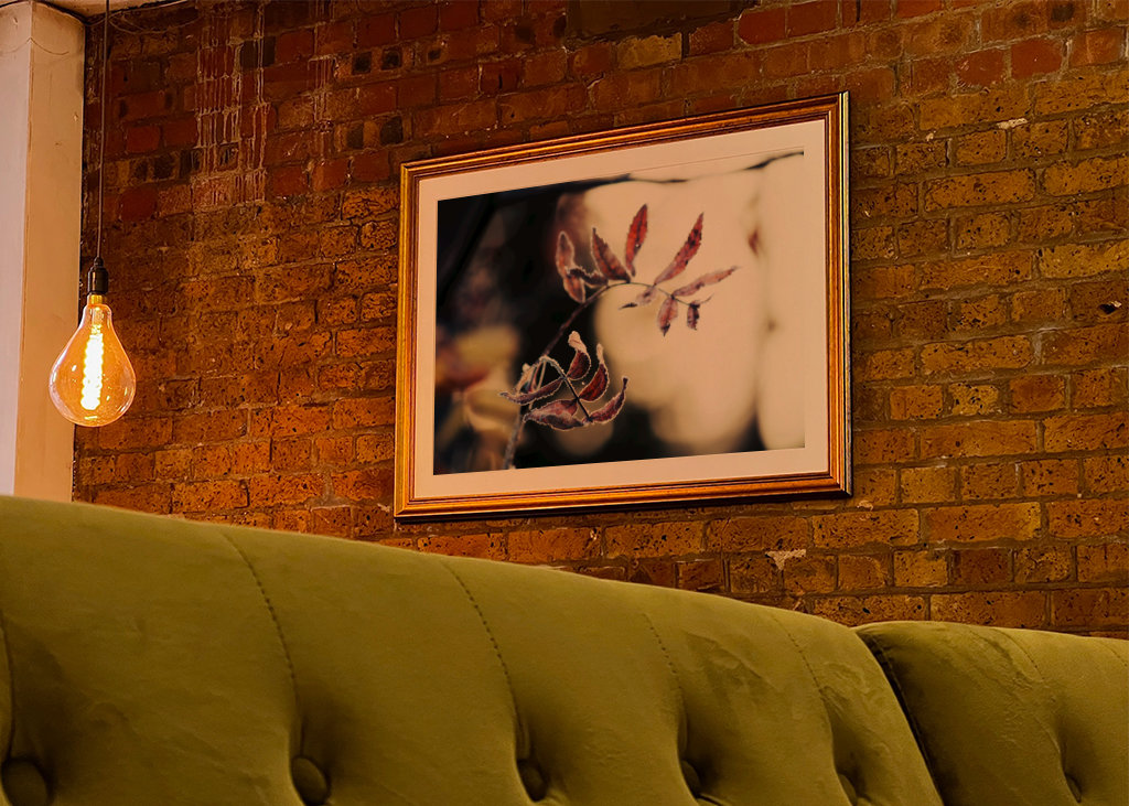 Odmrożone jesienne liście