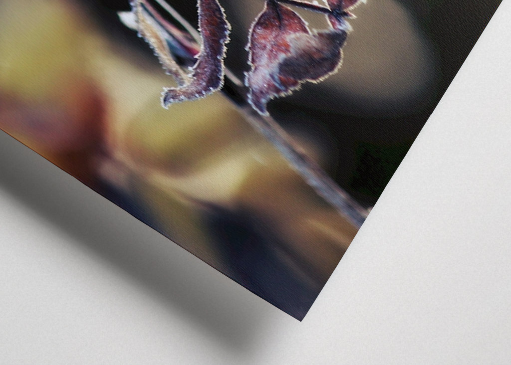 Odmrożone jesienne liście