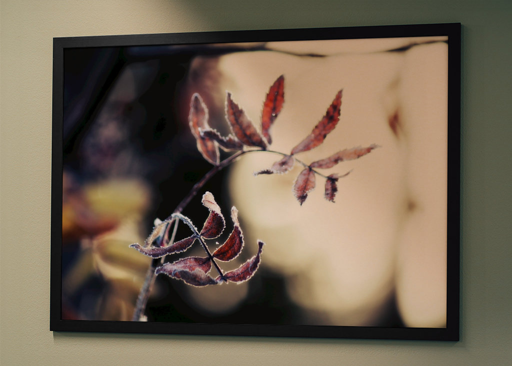 Odmrożone jesienne liście