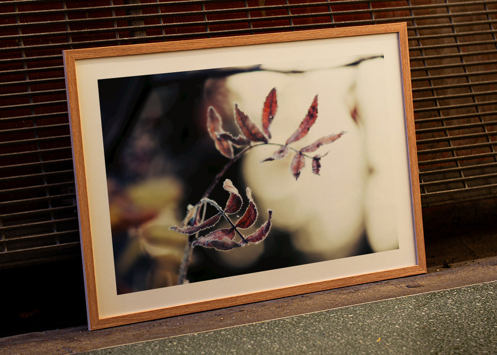 Odmrożone jesienne liście