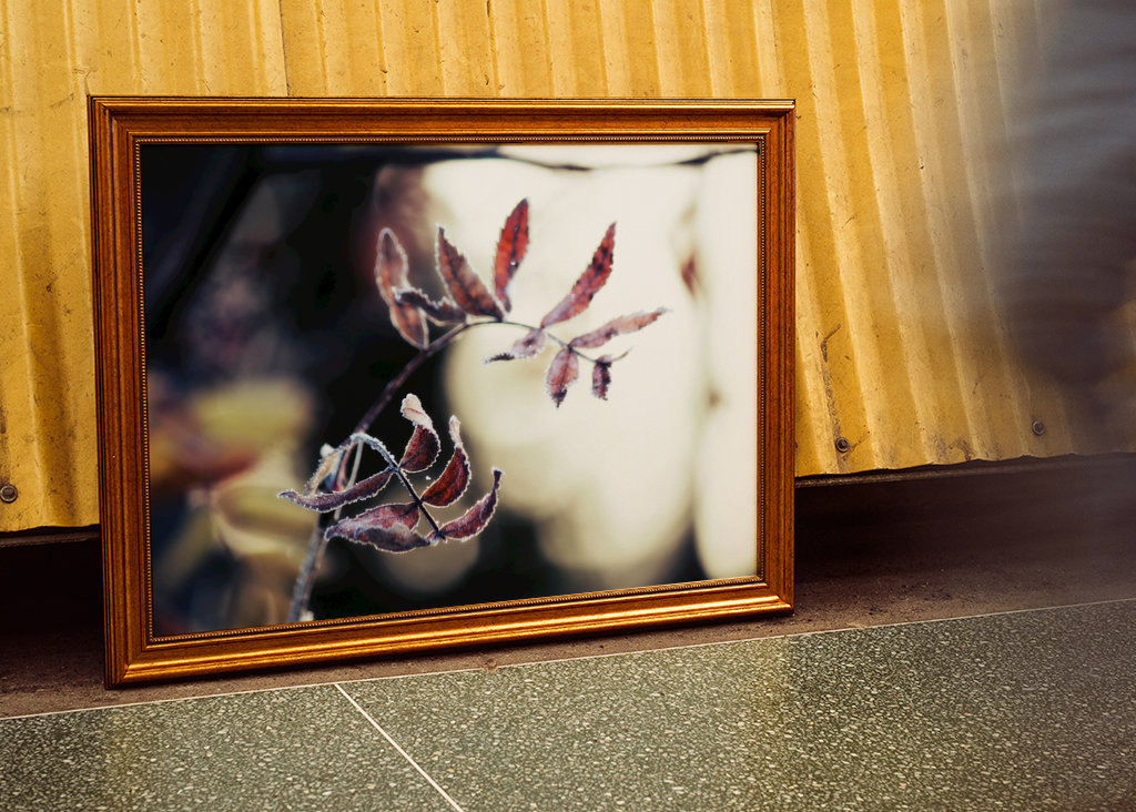 Odmrożone jesienne liście