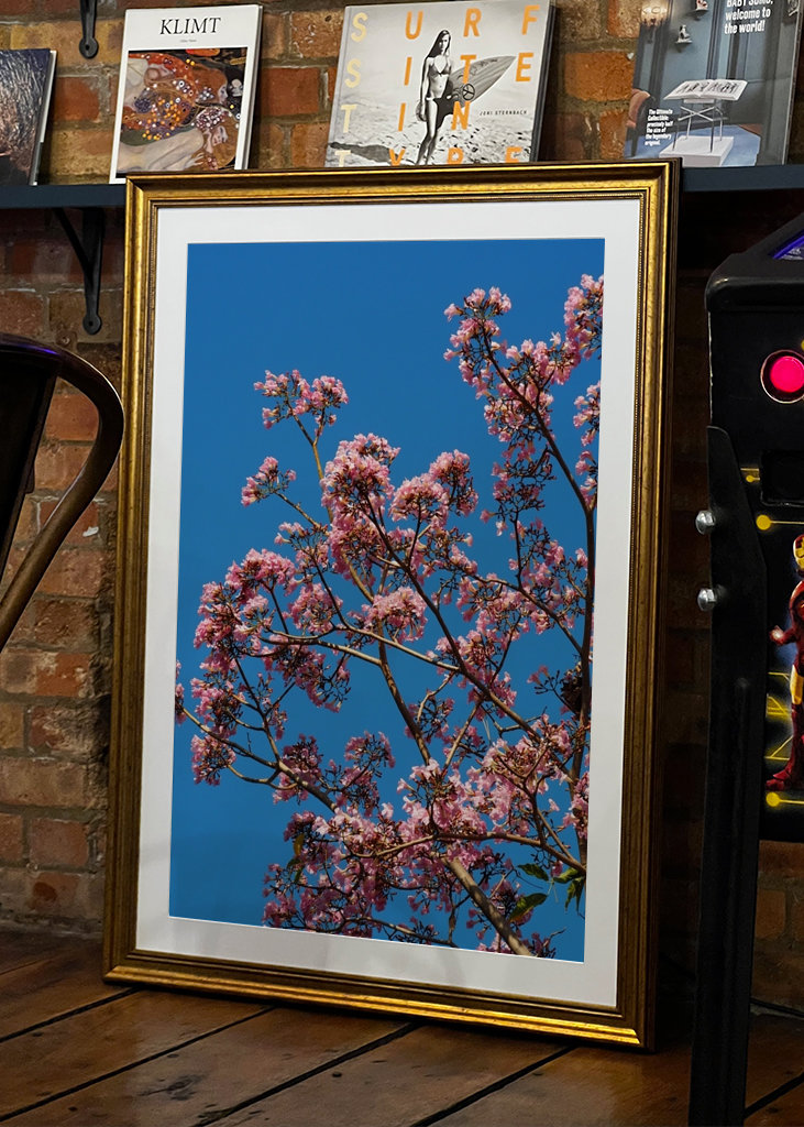Beautiful pink flowers