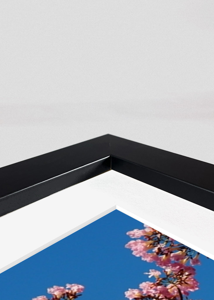 Beautiful pink flowers