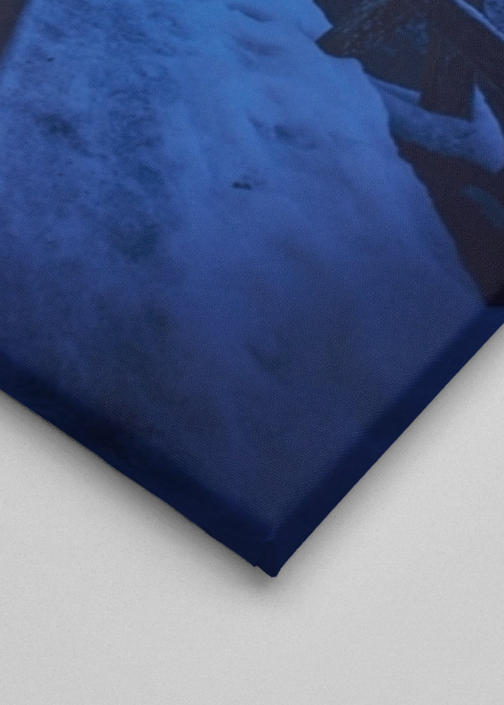 Brouillard dans la forêt 