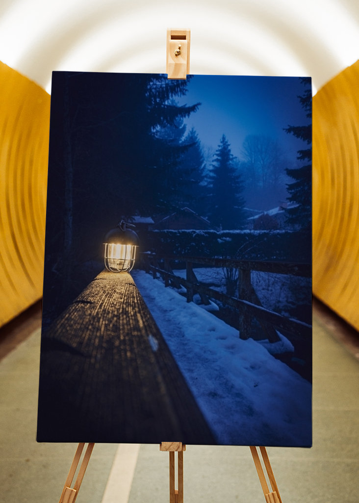 Brouillard dans la forêt 