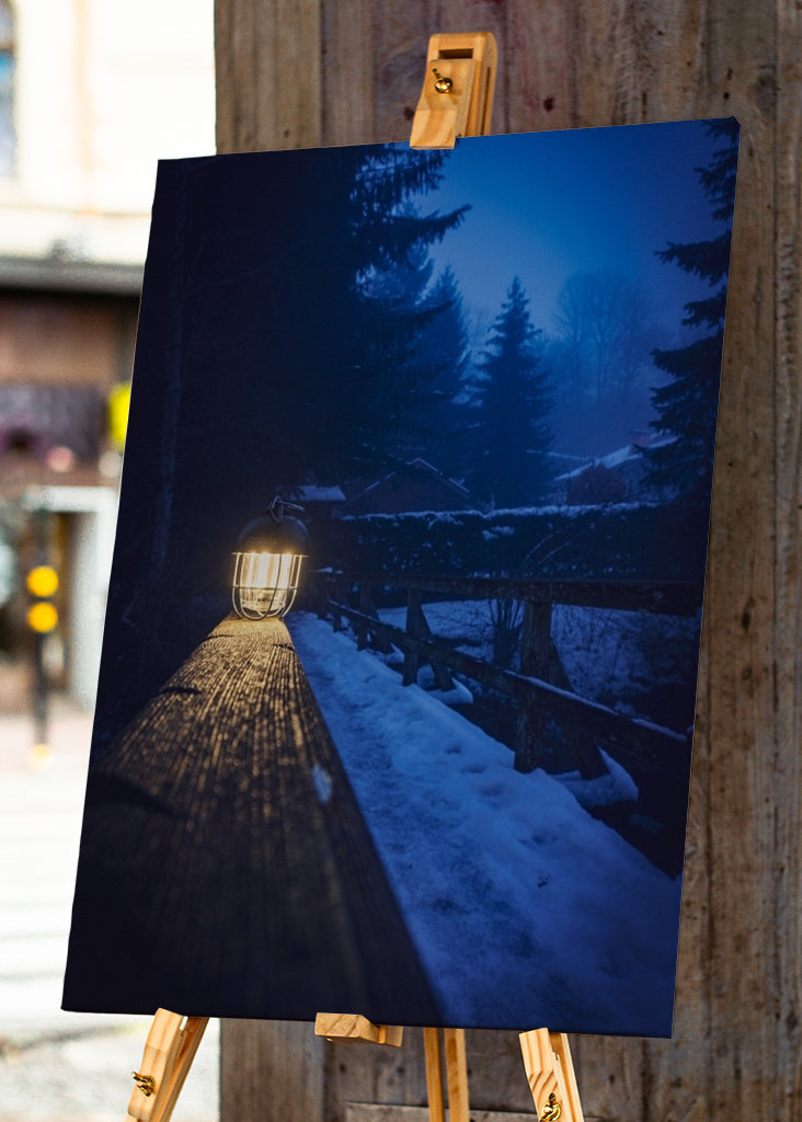 Brouillard dans la forêt 