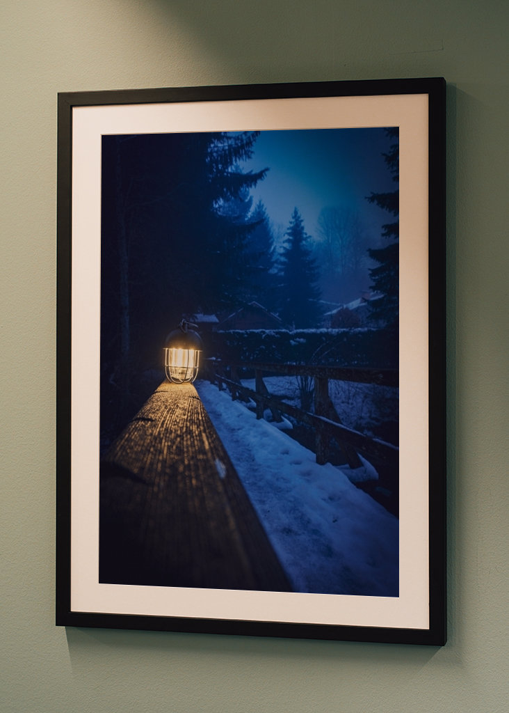 Brouillard dans la forêt 