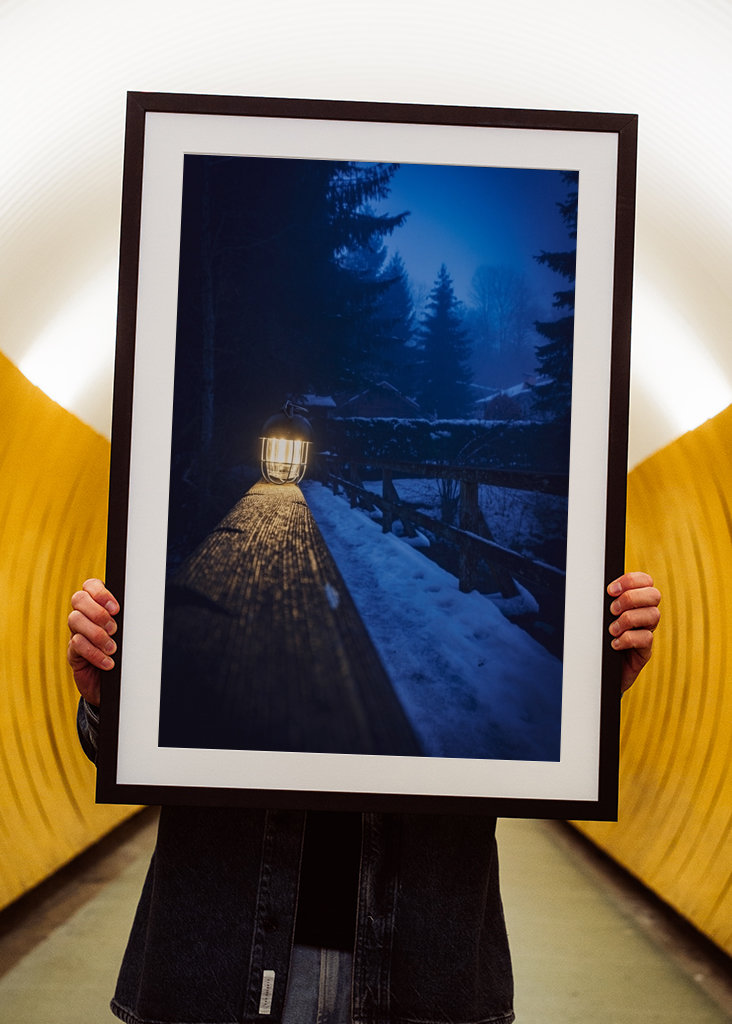 Brouillard dans la forêt 