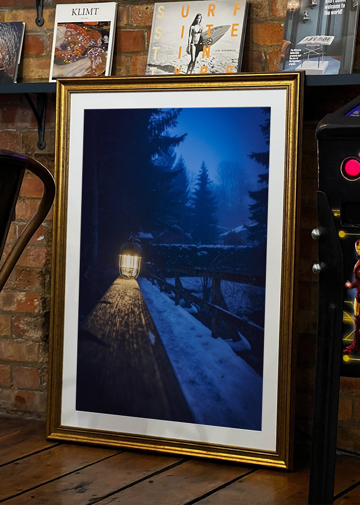Brouillard dans la forêt 