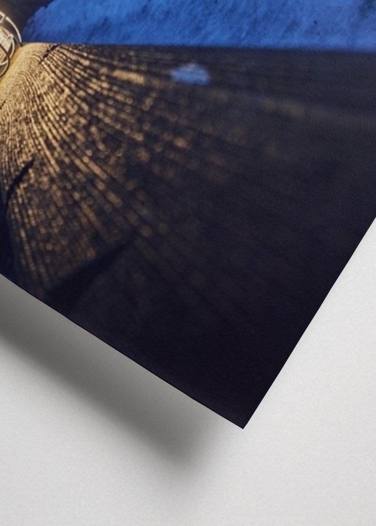 Brouillard dans la forêt 