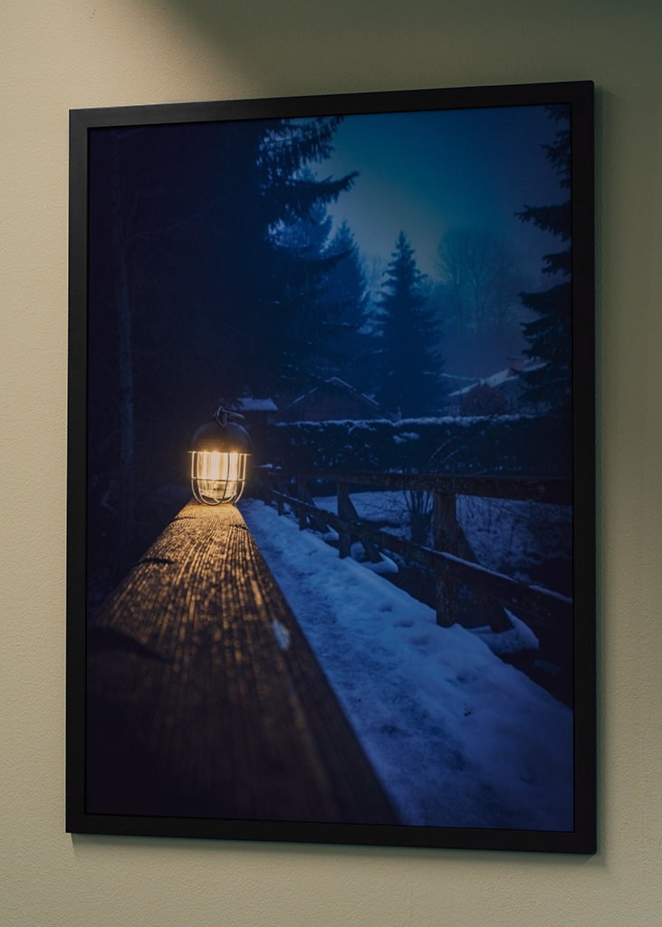 Brouillard dans la forêt 