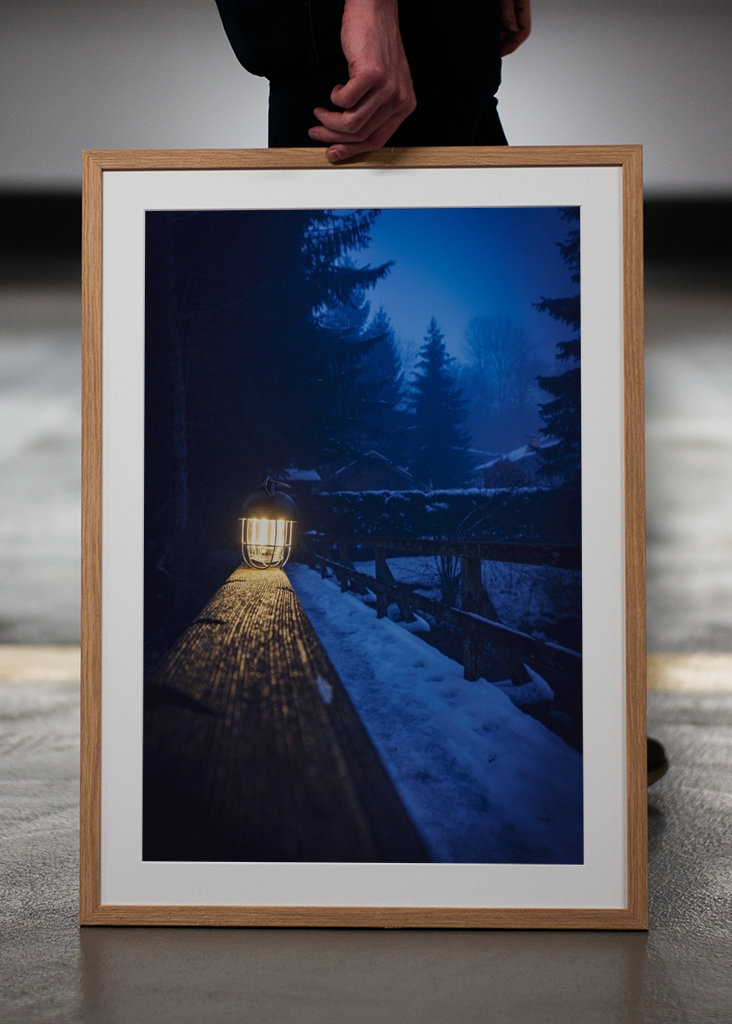 Brouillard dans la forêt 