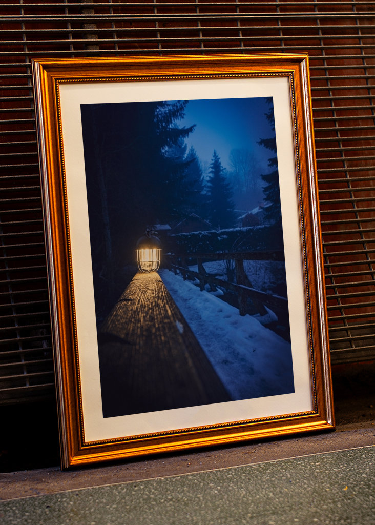 Brouillard dans la forêt 