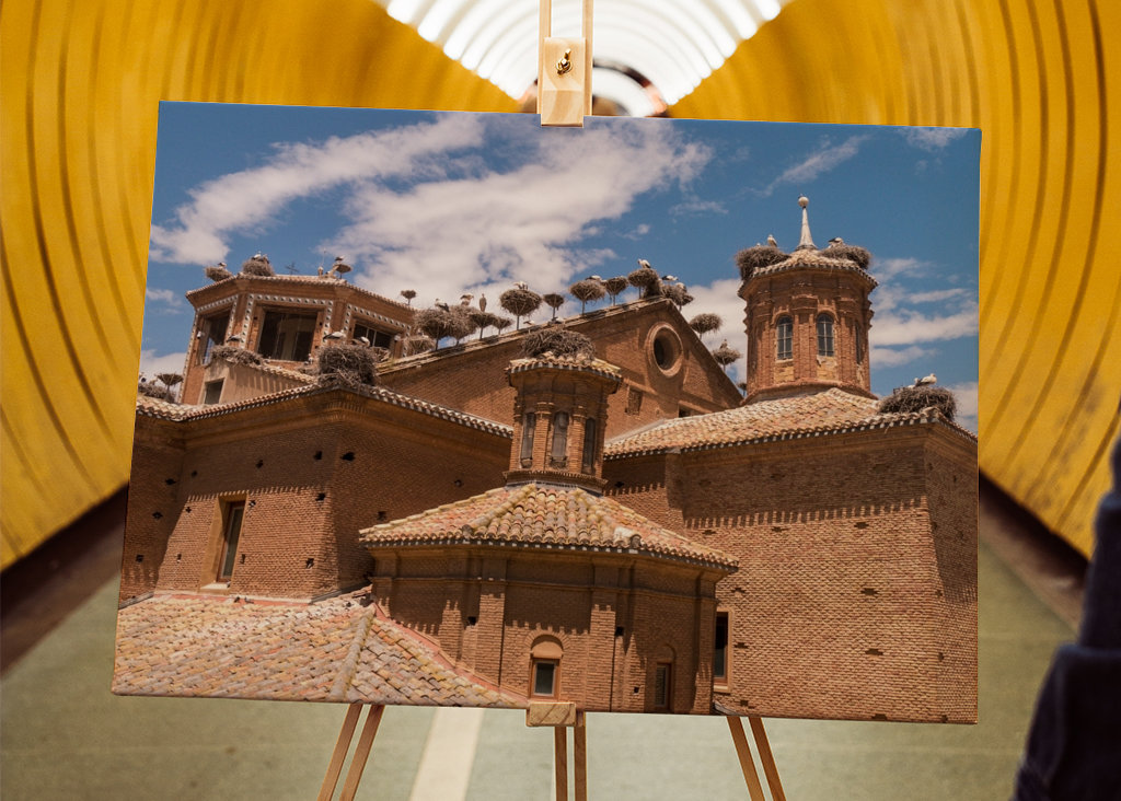 Alfaro - Čapí kolonie