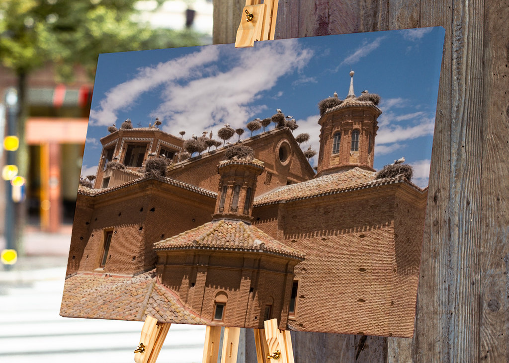 Alfaro - Čapí kolonie