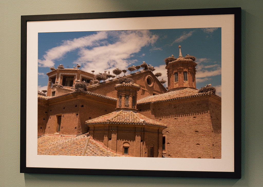 Alfaro - Čapí kolonie