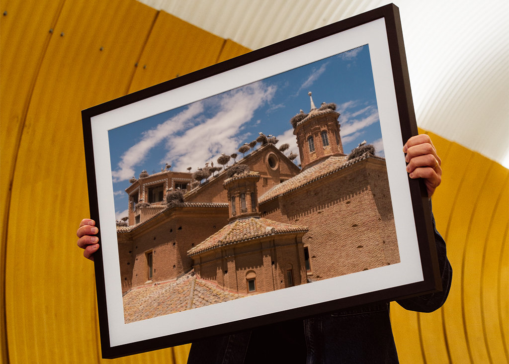 Alfaro - Čapí kolonie