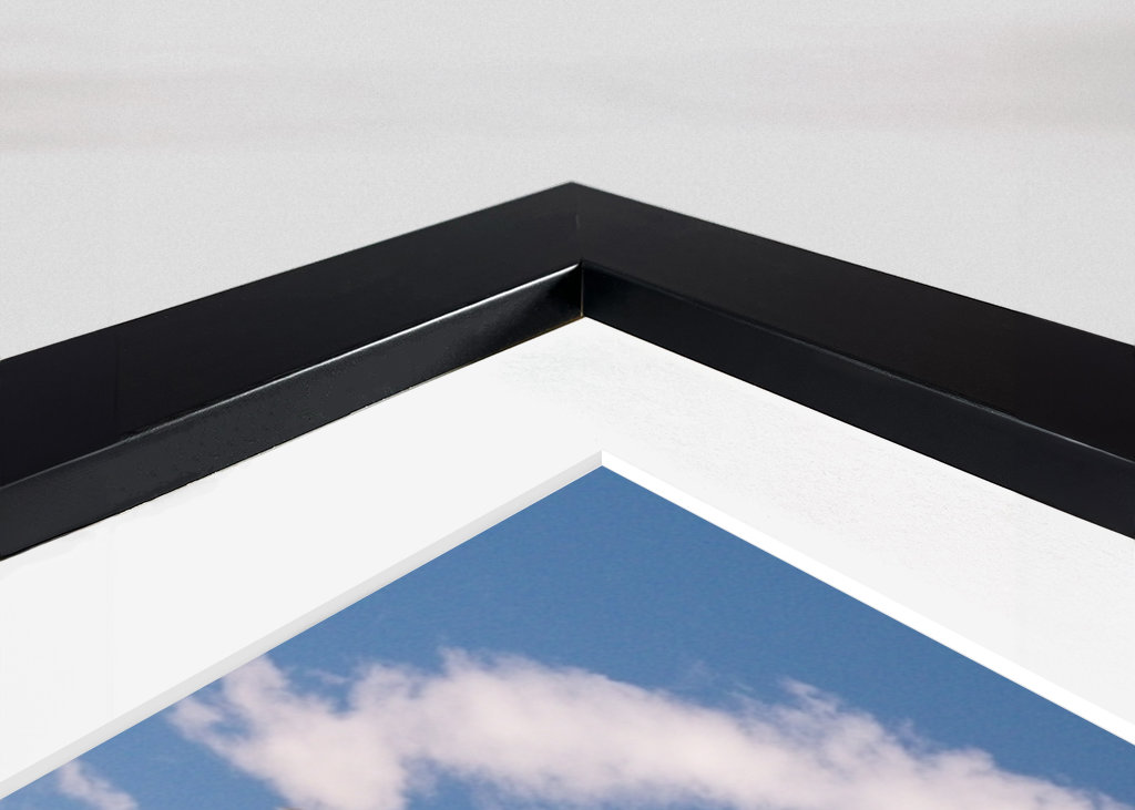 Alfaro - Čapí kolonie