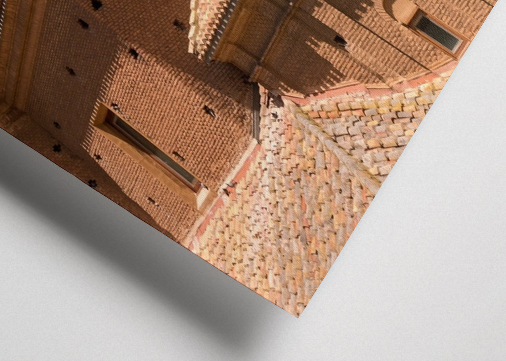 Alfaro - Čapí kolonie