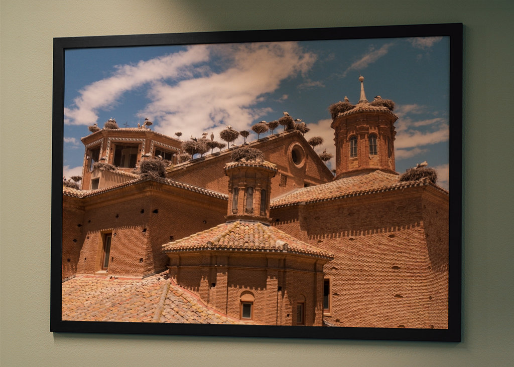 Alfaro - Čapí kolonie