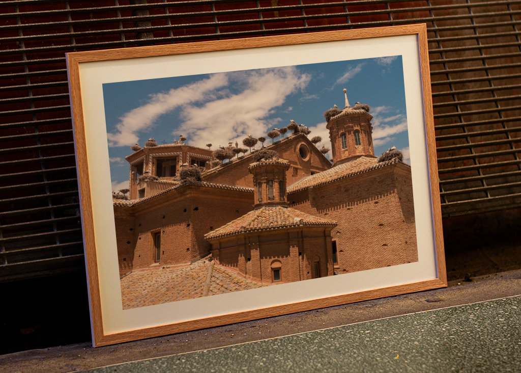 Alfaro - Čapí kolonie